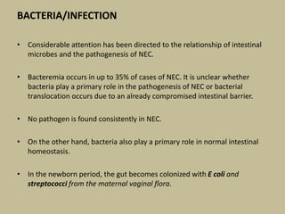 BACTERIA/INFECTION
• Considerable attention has been directed to the relationship of intestinal
microbes and the pathogenesis of NEC.
• Bacteremia occurs in up to 35% of cases of NEC. It is unclear whether
bacteria play a primary role in the pathogenesis of NEC or bacterial
translocation occurs due to an already compromised intestinal barrier.
• No pathogen is found consistently in NEC.
• On the other hand, bacteria also play a primary role in normal intestinal
homeostasis.
• In the newborn period, the gut becomes colonized with E coli and
streptococci from the maternal vaginal flora.
 