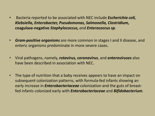 • Bacteria reported to be associated with NEC include Escherichia coli,
Klebsiella, Enterobacter, Pseudomonas, Salmonella, Clostridium,
coagulase-negative Staphylococcus, and Enterococcus sp.
• Gram-positive organisms are more common in stages I and II disease, and
enteric organisms predominate in more severe cases.
• Viral pathogens, namely, rotavirus, coronavirus, and enteroviruses also
have been described in association with NEC.
• The type of nutrition that a baby receives appears to have an impact on
subsequent colonization patterns, with formula-fed infants showing an
early increase in Enterobacteriaceae colonization and the guts of breast-
fed infants colonized early with Enterobacteriaceae and Bifidobacterium.
 