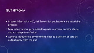 GUT HYPOXIA
• In term infant with NEC, risk factors for gut hypoxia are invariably
present.
• May follow severe generalised hypoxia, maternal cocaine abuse
and exchange transfusion.
• Adverse intrauterine environment leads to diversion of cardiac
output away from the gut.
 