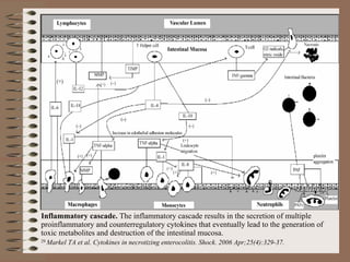 Inflammatory cascade. The inflammatory cascade results in the secretion of multiple
proinflammatory and counterregulatory cytokines that eventually lead to the generation of
toxic metabolites and destruction of the intestinal mucosa.
29 Markel   TA et al. Cytokines in necrotizing enterocolitis. Shock. 2006 Apr;25(4):329-37.
 