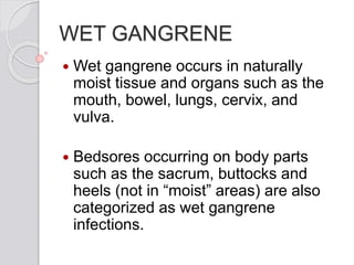 WET GANGRENE
 Wet gangrene occurs in naturally
moist tissue and organs such as the
mouth, bowel, lungs, cervix, and
vulva.
 Bedsores occurring on body parts
such as the sacrum, buttocks and
heels (not in “moist” areas) are also
categorized as wet gangrene
infections.
 