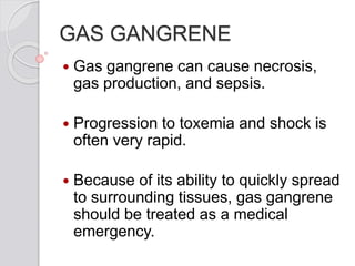 GAS GANGRENE
 Gas gangrene can cause necrosis,
gas production, and sepsis.
 Progression to toxemia and shock is
often very rapid.
 Because of its ability to quickly spread
to surrounding tissues, gas gangrene
should be treated as a medical
emergency.
 