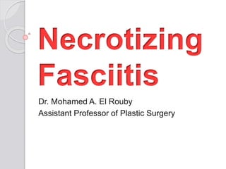 Dr. Mohamed A. El Rouby
Assistant Professor of Plastic Surgery
 