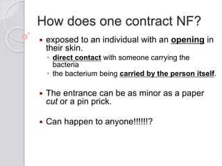 How does one contract NF?
 exposed to an individual with an opening in
their skin.
◦ direct contact with someone carrying the
bacteria
◦ the bacterium being carried by the person itself.
 The entrance can be as minor as a paper
cut or a pin prick.
 Can happen to anyone!!!!!!?
 