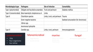 polymicrobial
• 75%
• four organisms
• less lethal.
Monomicrobial
• Aggressive
• acute onset
marine
Vibrio (sea water)
Aeromonas
(freshwater)
fungal
Immunosuppression
 