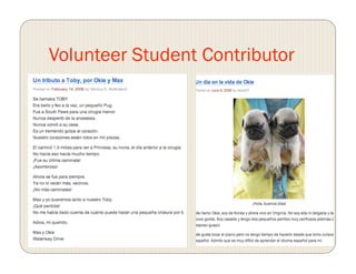 Volunteer Student Contributor
 