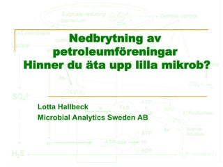 Nedbrytning av 
petroleumföreningar 
Hinner du äta upp lilla mikrob? 
Lotta Hallbeck 
Microbial Analytics Sweden AB 
 