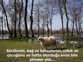 Sürülerini, bağ ve bahçelerini, çoluk ve çocuğunu ve hatta oturduğu evini bile elinden aldı… 