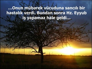 … Onun mübarek vücuduna sancılı bir hastalık verdi. Bundan sonra Hz. Eyyub iş yapamaz hale geldi… 