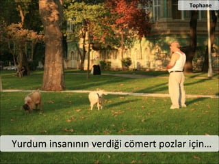 Neden Foto?raf ?ekiyoruz?