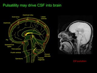 The Glymphatic System – A New Player in Alzheimer Disease? | PPTX