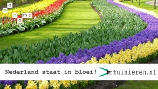 Nederland staat in bloei!
 