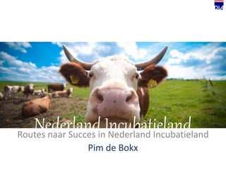 Nederland IncubatielandRoutes naar Succes in Nederland Incubatieland
Pim de Bokx
 