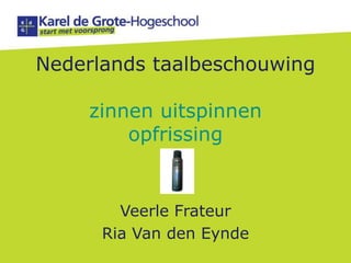 Nederlands taalbeschouwing zinnen uitspinnenopfrissing Veerle Frateur Ria Van den Eynde 