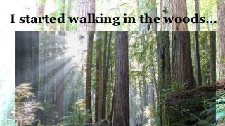 I started walking in the woods…
 