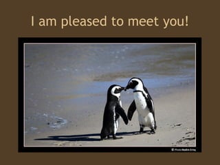 I am pleased to meet you! 