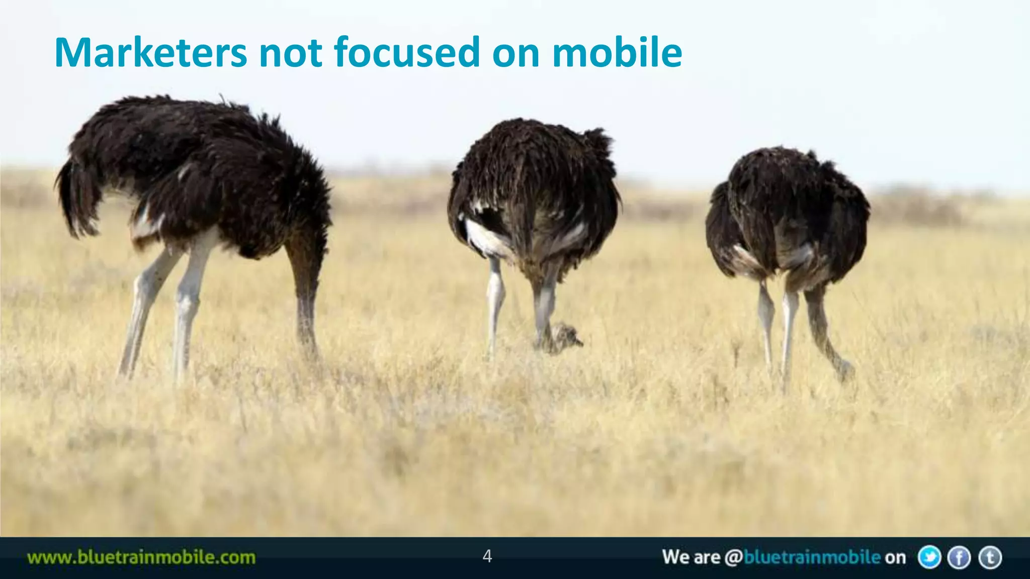 Marketers not focused on mobile




                     4
 