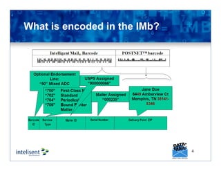 What is encoded in the IMb?
4
 