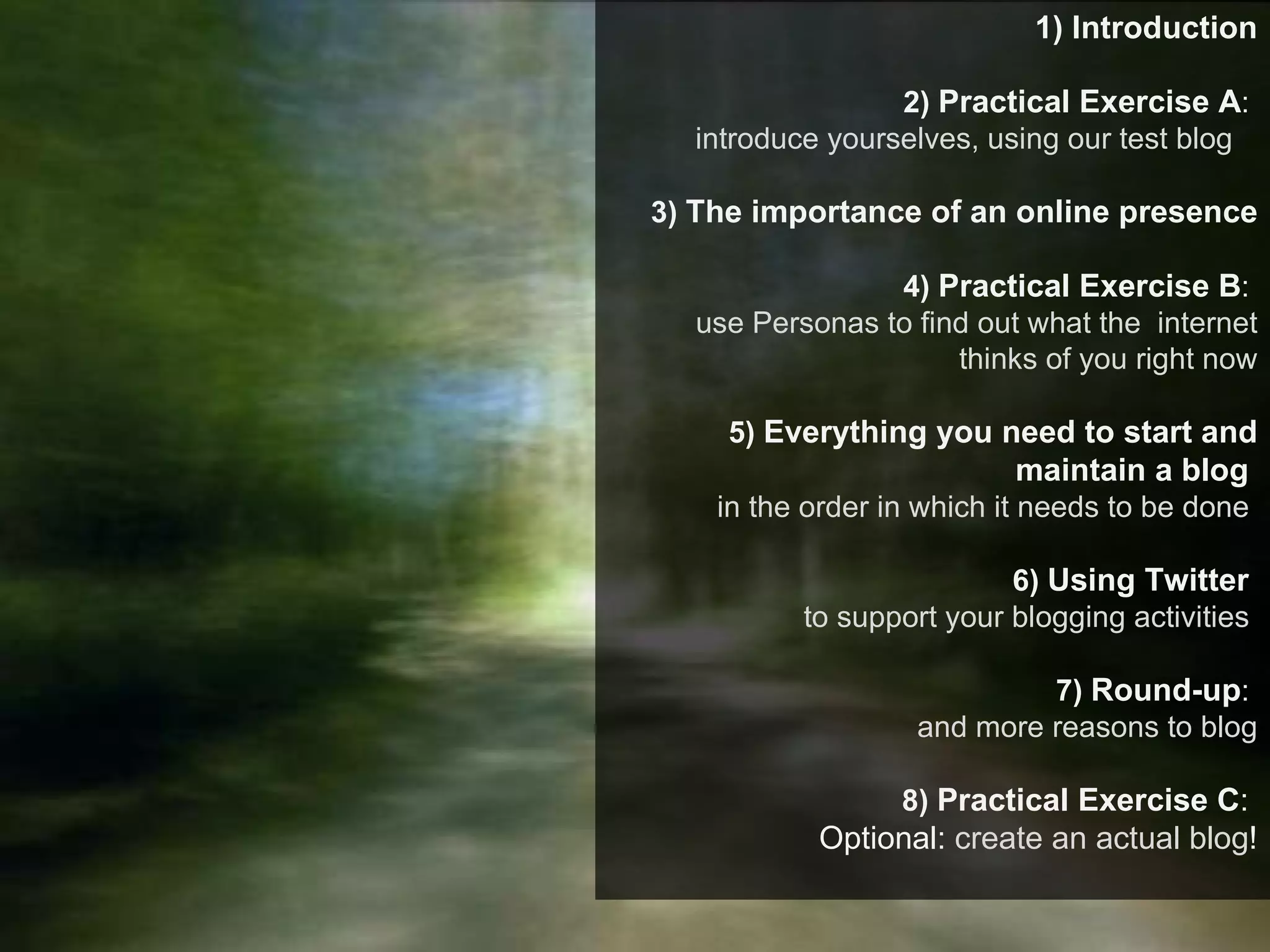 1) Introduction 2)  Practical Exercise A :  introduce yourselves, using our test blog  3)  The importance of an online presence 4)  Practical Exercise B :  use Personas to find out what the  internet thinks of you right now 5)  Everything you need to start and maintain a blog   in the order in which it needs to be done  6)  Using Twitter  to support your blogging activities  7)  Round-up :  and more reasons to blog 8)  Practical Exercise C :  Optional:  create an actual blog ! 