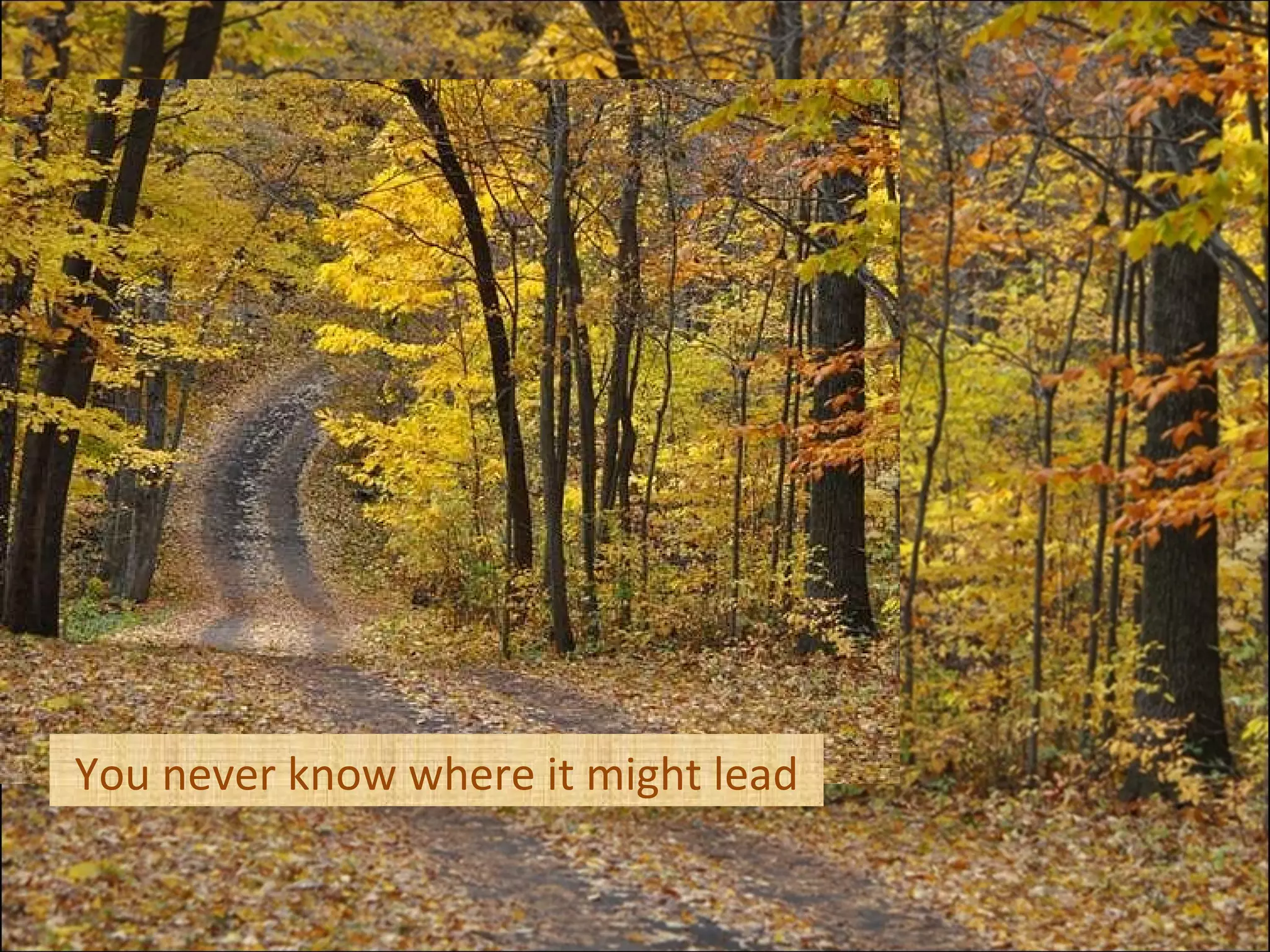 You never know where it might lead 