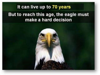 Need For Change
