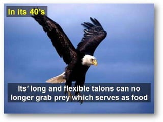 Need For Change