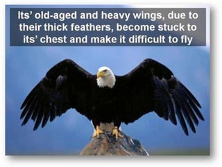 Need For Change