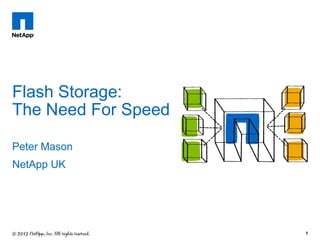 Flash Storage:
The Need For Speed
Peter Mason
NetApp UK

1

 