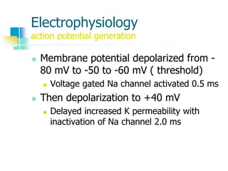 Electrophysiology
action potential generation
 Membrane potential depolarized from -
80 mV to -50 to -60 mV ( threshold)
 Voltage gated Na channel activated 0.5 ms
 Then depolarization to +40 mV
 Delayed increased K permeability with
inactivation of Na channel 2.0 ms
 