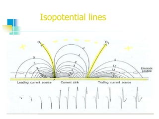 Isopotential lines
 