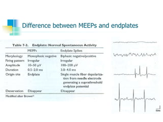 Difference between MEEPs and endplates
 