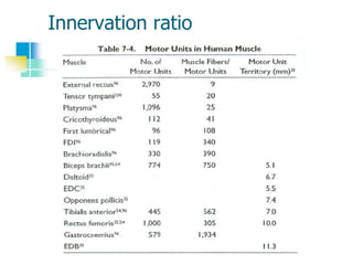 Innervation ratio
 