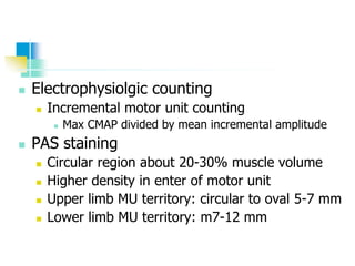  Electrophysiolgic counting
 Incremental motor unit counting
 Max CMAP divided by mean incremental amplitude
 PAS staining
 Circular region about 20-30% muscle volume
 Higher density in enter of motor unit
 Upper limb MU territory: circular to oval 5-7 mm
 Lower limb MU territory: m7-12 mm
 
