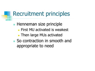 Recruitment principles
 Henneman size principle
 First MU activated is weakest
 Then large MUs activated
 So contraction in smooth and
appropriate to need
 