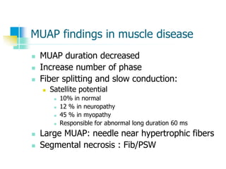 MUAP findings in muscle disease
 MUAP duration decreased
 Increase number of phase
 Fiber splitting and slow conduction:
 Satellite potential
 10% in normal
 12 % in neuropathy
 45 % in myopathy
 Responsible for abnormal long duration 60 ms
 Large MUAP: needle near hypertrophic fibers
 Segmental necrosis : Fib/PSW
 