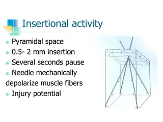 Insertional activity
 Pyramidal space
 0.5- 2 mm insertion
 Several seconds pause
 Needle mechanically
depolarize muscle fibers
 Injury potential
 