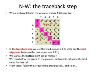 The Needleman Wunsch algorithm | PPT
