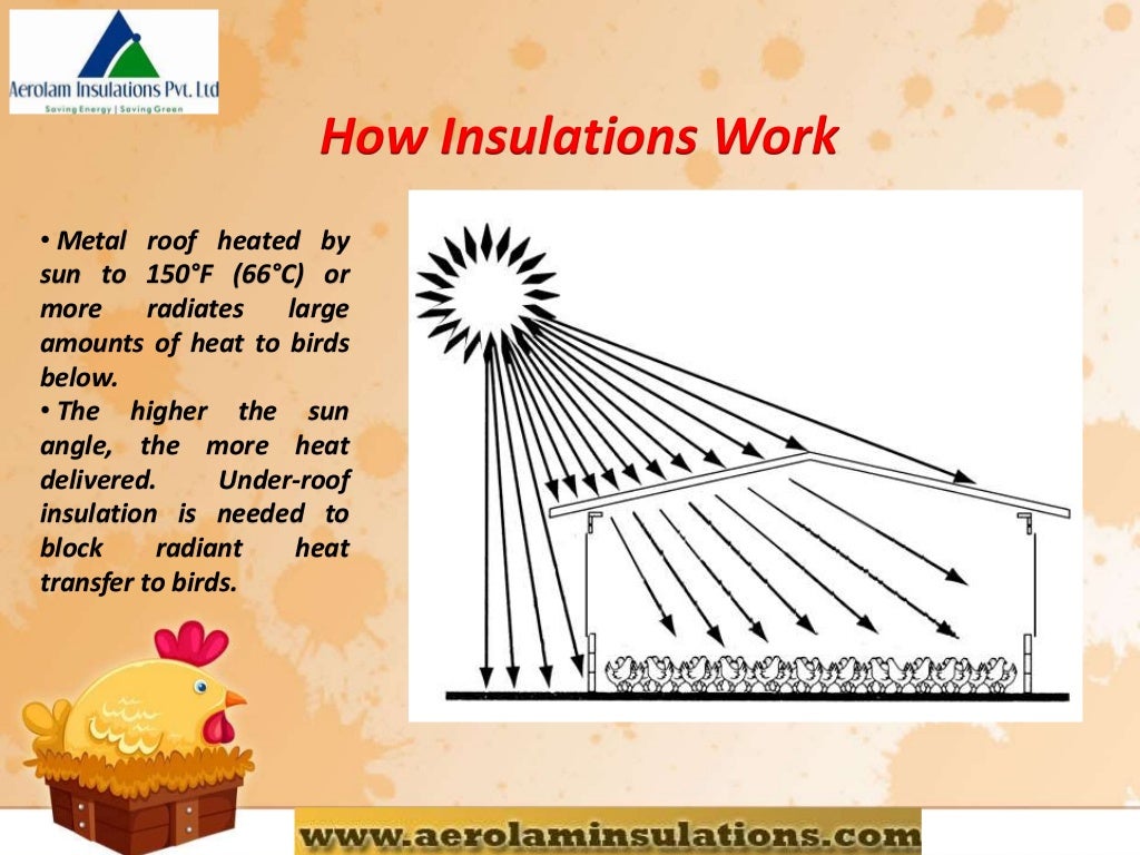 Need of Insulation in Poultry Farm Poultry Farm Insulation