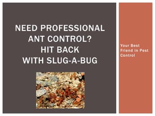 Your Best Friend in Pest ControlNeed Professional Ant control?Hit back with slug-a-bug