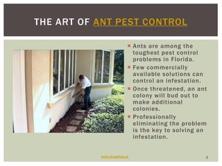 Ants are among the toughest pest control problems in Florida.<br />Few commercially available solutions can control an inf...