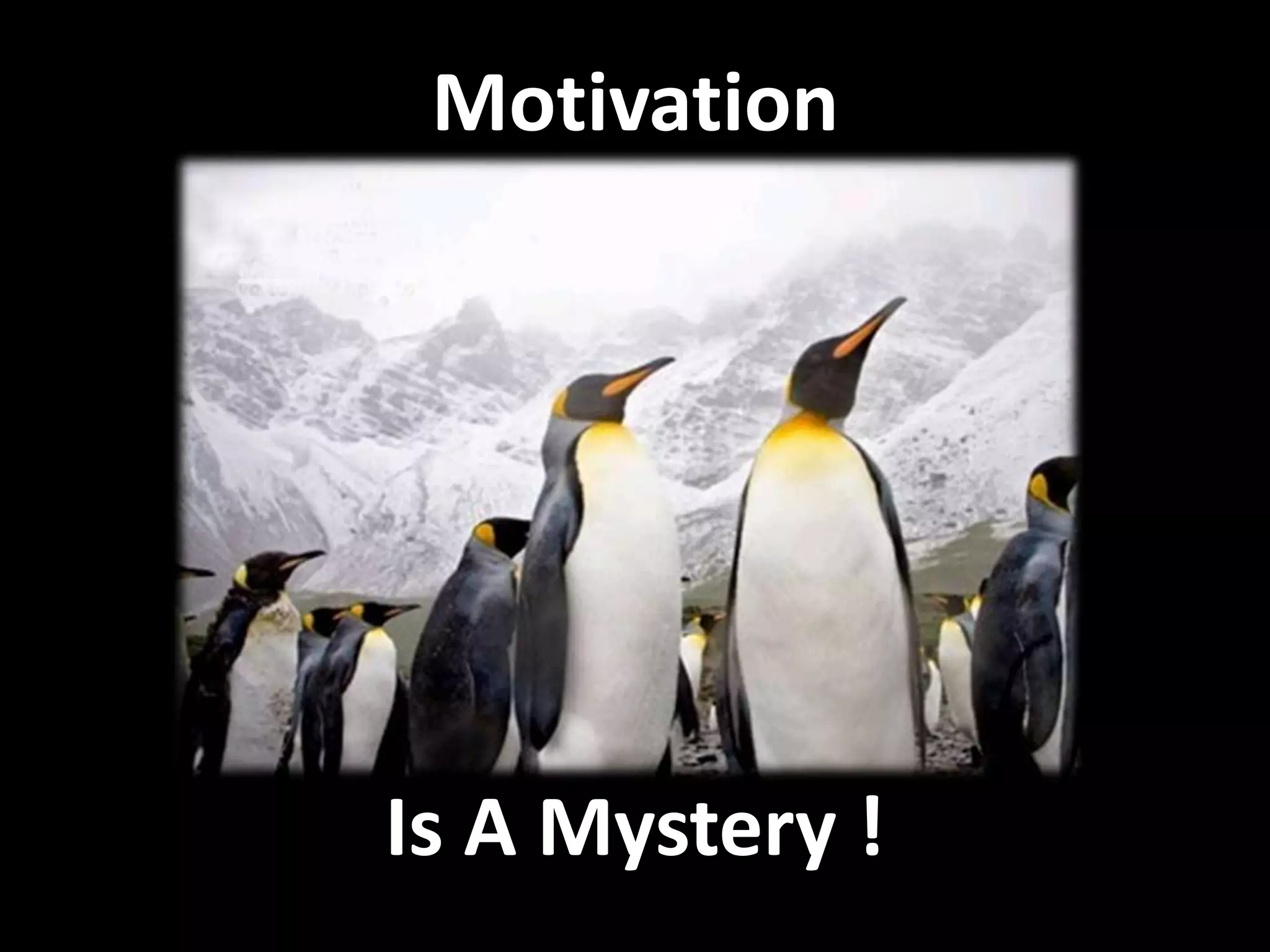 Motivation
Is A Mystery !
 