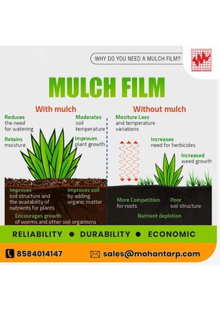 needs of mulch film.pdf