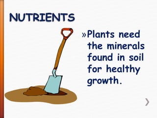 »Plants need
the minerals
found in soil
for healthy
growth.
 