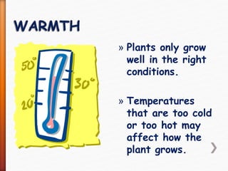 » Plants only grow
well in the right
conditions.
» Temperatures
that are too cold
or too hot may
affect how the
plant grows.
 
