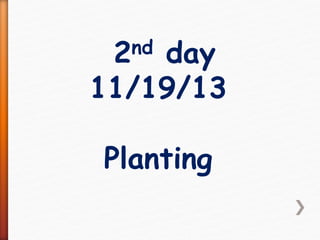 2nd day
11/19/13
Planting
 