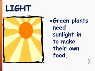 »Green plants
need
sunlight in
to make
their own
food.
 