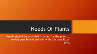 Needs Of Plants
Needs should be provided in order for the plant to
provide people and animals with the uses it can
give.
 