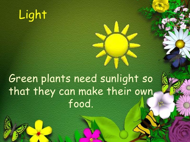 Needs of the plant
