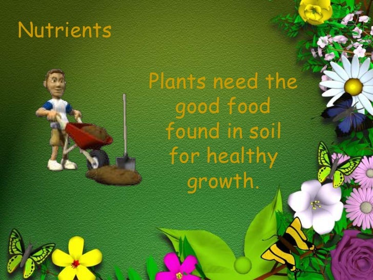 Needs of the plant