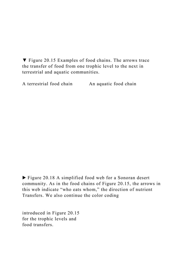 Need the following on Food Web DiagramCreate a diagram in whi.docx